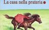 Sulle sponde del Silver Lake