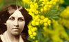 L'8 marzo secondo Louisa May Alcott