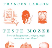 Teste mozze