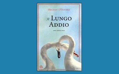 Il lungo addio. Una storia vera