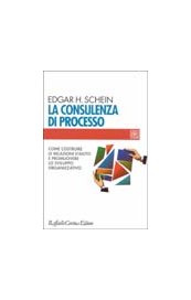 La consulenza di processo