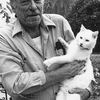 Charles Bukowski: presto in uscita un suo libro inedito sui gatti