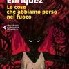 Le cose che abbiamo perso nel fuoco