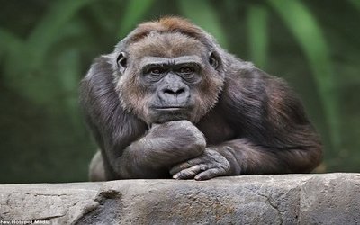 Cogito ergo sum: il pensiero di Cartesio