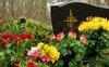 “Uno strano giardino”, la poesia che celebra novembre come mese dei morti