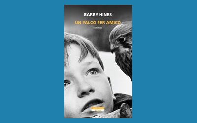 Un falco per amico