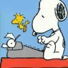 Corsi di scrittura creativa: servono davvero per scrivere un libro?