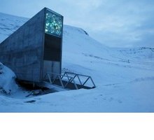 Arctic World Archive e Doomsday Library: cos'è la Biblioteca dell'Apocalisse e a cosa serve