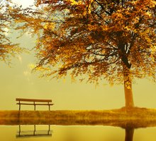 “Ode all'autunno” di John Keats: una poesia - visione