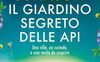 Il giardino segreto delle api