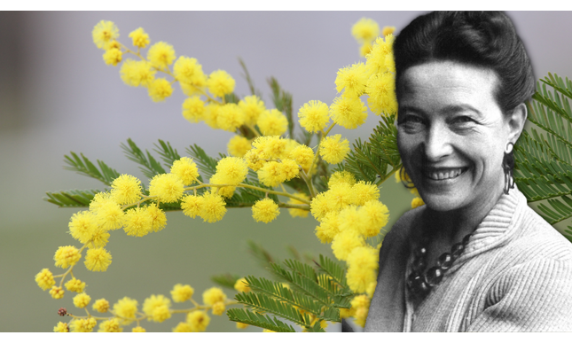 Cos'ha da dirci oggi “Il secondo sesso” di Simone de Beauvoir