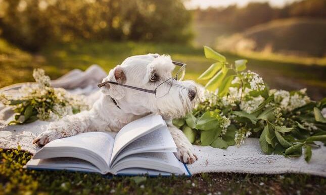 Scrittori e scrittrici che amavano i cani (e le loro storie)