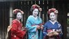 Geisha: cosa significa, libri e film