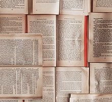 Giornata mondiale della gentilezza: i libri da leggere per essere scrittori gentili