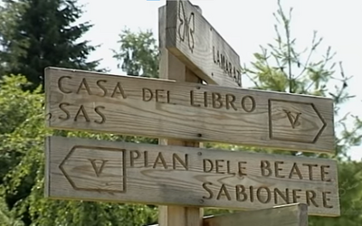 Una casa fatta di libri scolpiti nel legno: ecco dov'è e chi l'ha costruita