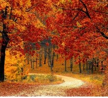 Equinozio d'autunno: quando cade quest'anno e cos'è