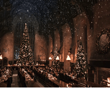 Natale a Hogwarts per i fan di Harry Potter: ecco dove e quanto costa
