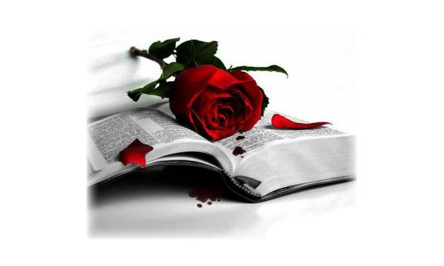 Libri per San Valentino: i migliori libri d'amore 2012
