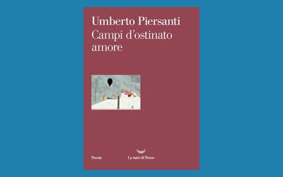 Campi d'ostinato amore