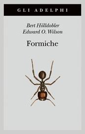 Formiche