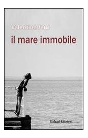 Il mare immobile