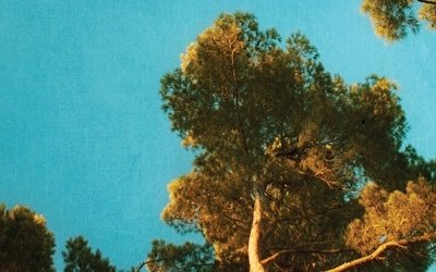 In libreria “La casa nella pineta” di Pietro Ichino