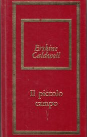 Il piccolo campo