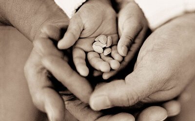 Festa del Papà, 19 marzo 2016: i migliori libri da regalare