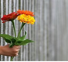 “Mi fermo un momento a guardare”: testo e analisi della poesia di Roberto Roversi