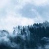 Nebbia di Giovanni Pascoli: parafrasi, metrica e analisi del testo