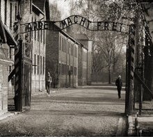 Auschwitz di Salvatore Quasimodo: parafrasi e analisi della poesia