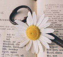 Parole inglesi in italiano: va messa la -s al plurale? Quando vanno scritte in corsivo?