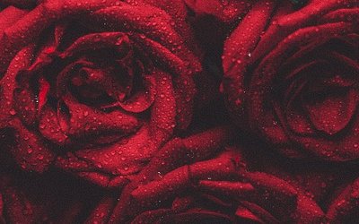 I fiori del male di Baudelaire: poesie e analisi