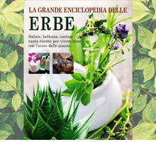 “La grande enciclopedia delle erbe”: il libro per imparare a vivere bene con l'aiuto delle piante