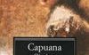 Giacinta