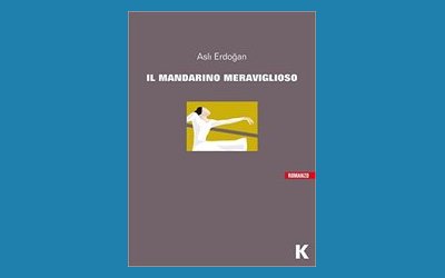 Il mandarino meraviglioso