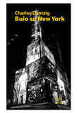 Buio su New York