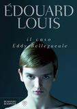 Il caso Eddy Bellegueule