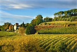 Esami di stato 2016: “Il valore del paesaggio” tra le tracce più gettonate