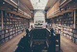 Come diventare bibliotecario: percorso di studi, requisiti e quanto si guadagna