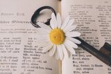 Parole inglesi in italiano: va messa la -s al plurale? Quando vanno scritte in corsivo?