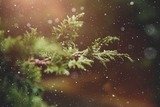 “È Natale”: l'augurio in poesia di Madre Teresa di Calcutta
