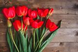 “I tulipani”: malattia e alienazione nella poesia di Sylvia Plath