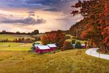 “An autumn scene”: l'autunno nella poesia di Walt Whitman