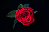 “È l'amore” di Jorge Luis Borges: una poesia per San Valentino