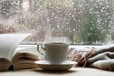 5 libri da leggere in una giornata di pioggia primaverile