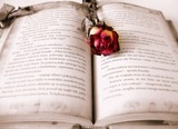 San Valentino: scrittori in libreria e dediche d'autore a laFeltrinelli