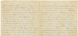 Vincent Van Gogh: l'ultima lettera scritta prima del suicidio