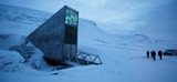 Arctic World Archive e Doomsday Library: cos'è la Biblioteca dell'Apocalisse e a cosa serve