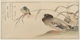 “Il sogno di Hokusai” di Ilaria Demonti edito in occasione della mostra milanese “Hokusai Hiroshige Utamaro”